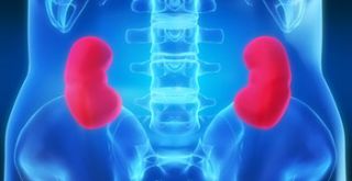 renal