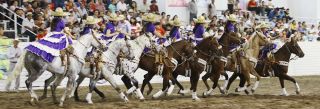 Feria-mundial-del-caballo