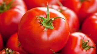 jitomate-alimentos