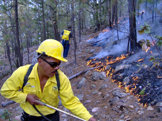incendio quintanaroo