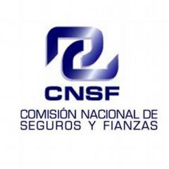 cnsf