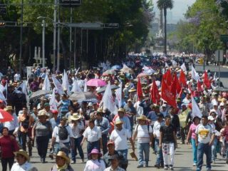 manifestaciones