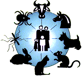 zoonosis