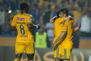 Tigres