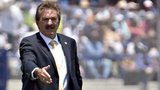 lavolpe