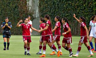 Mex-Fem