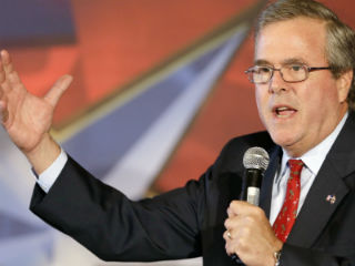 jeb bush