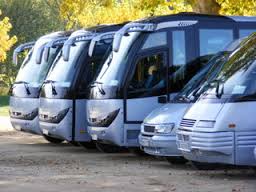 transporte