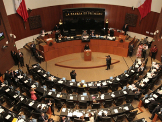 senado
