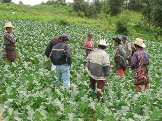 agricultores