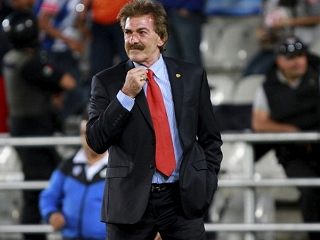 lavolpe