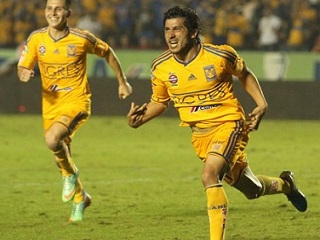 tigres