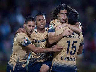 pumas