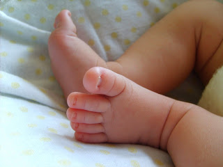 pol1-bebe