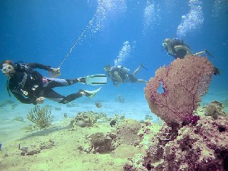 costa maya