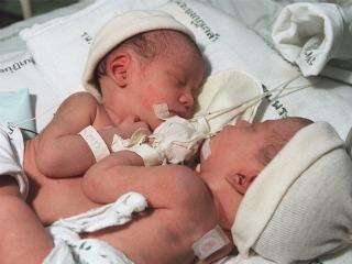 bebes