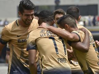 pumas