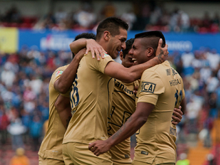 pumas