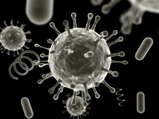 virus