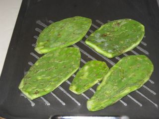 nopal