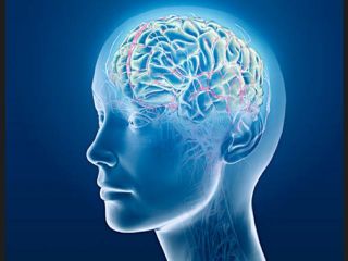 cerebro