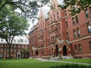 harvard