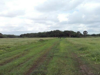 pista