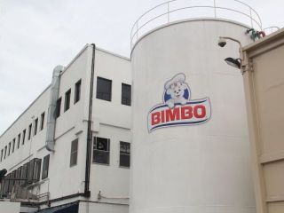 bimbo