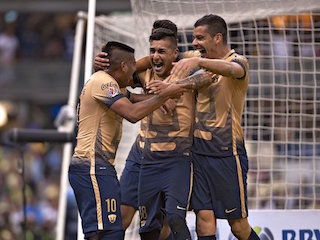 pumas