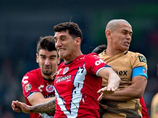 pumas