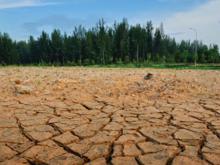 cambio-climatico