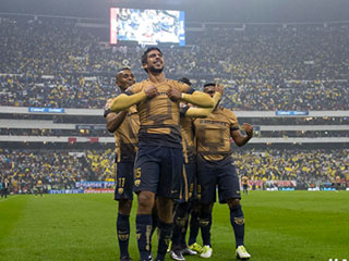pumas