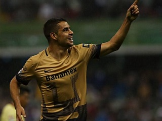 pumas