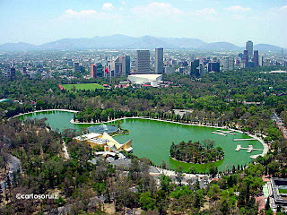 bosque