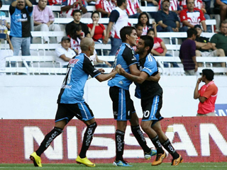 gallos