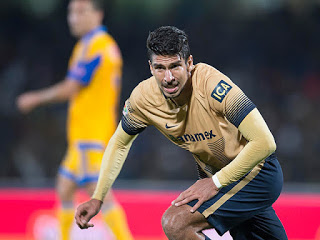 pumas