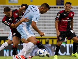 gallos atlas