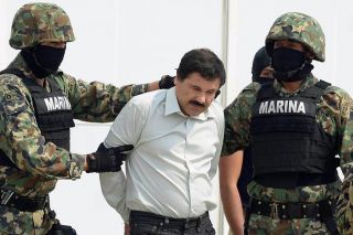 pol6 chapo