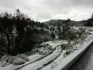 nevada