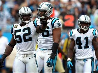 panthers
