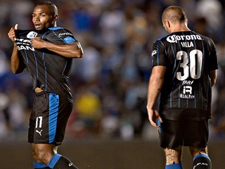 gallos