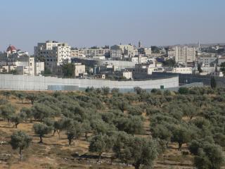 palestina
