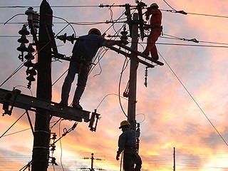 fibra e