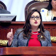 Cynthia Iliana Lopez Castro