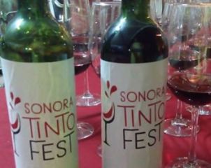 tintofest