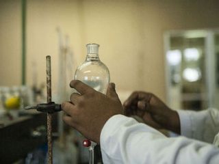 lab