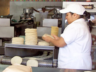 tortilla