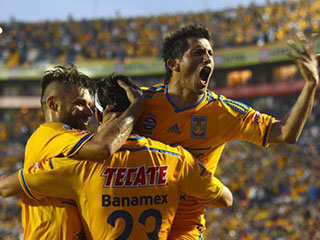 tigres