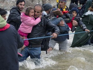 migrants