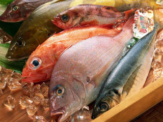 pescado